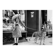 Window Shopping Unframed Paper Print
