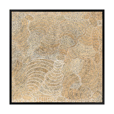 Janganpa Jukurrpa III Printed Wall Art