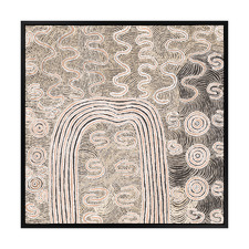 Wardapi Jukurrpa Printed Wall Art