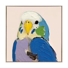 Birdwatching Printed Wall Art