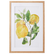 Lemon Framed Printed Wall Art