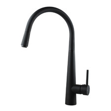 Black Swivel Pull-Out Kitchen Mixer Tap
