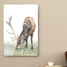 Elk Framed Canvas Wall Art