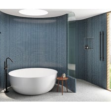 Euro 200mm Swivel Shower Arm & Head