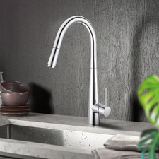 Swivel Pull-Out Kitchen Mixer Tap