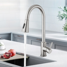 Rupert Gooseneck Pull-Out Kitchen Sink Mixer