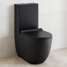 Dasha Wall Faced Toilet Suite