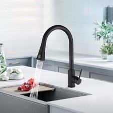 Cammie Chrome Gooseneck Pull-Out Kitchen Sink Mixer