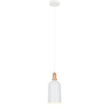 Black Chapel 1 Light Iron & Wood Pendant
