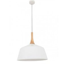 Blackhazel Steel & Wood Pendant Light