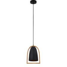 Ehen Black Iron & Wood Pendant Light