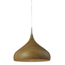 Eden Argill 1 Light Steel Pendant