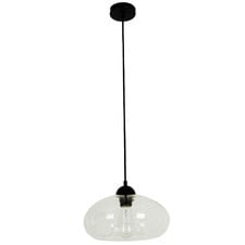 Mason Oval Steel & Glass Pendant Light