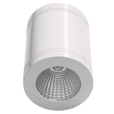 Round Surface Mounted Downlight
