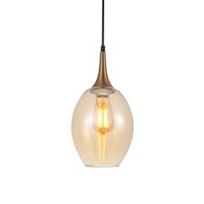 Brote Glass & Iron Pendant Light