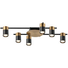 Meira Adjustable 6 Light Spotlight