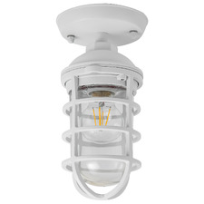 Shaan Outdoor Ceiling Light