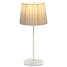 Raidan Adjustable Table Lamp