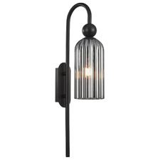 Eos Glass & Iron Wall Light