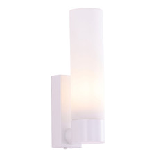 Nyra Iron & Glass Wall Light