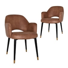 Lex Faux Leather Dining Chairs with Brass Accent (Set of 2)