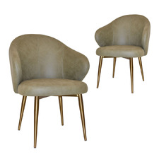 Scranton Upholstered Dining Chairs with Brass Legs (Set of 2)