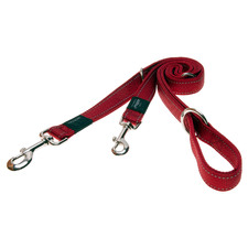 Red Specialty Dog Leash