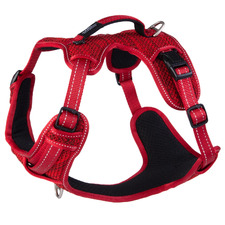 Red Specialty Explore Harness