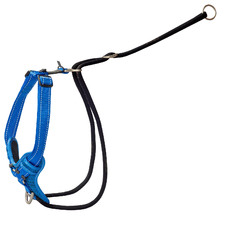 Blue Control Stop Pull Harness