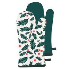 2 Piece Eldan Cotton Oven Mitt Set