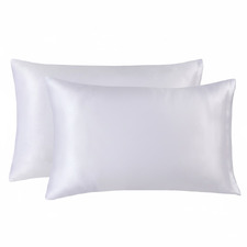 Mulberry Silk Standard Pillowcases (Set of 2)