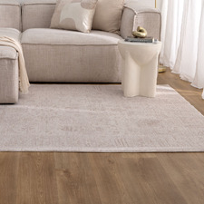 Beige Caitlin Distressed Rug