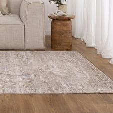 Shiloh Distressed Transitional Rug