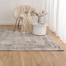 Nassa Distressed Bordered Rug
