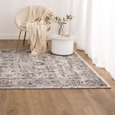 Darrel Traditional Rug