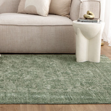 Green Caitlin Distressed Rug