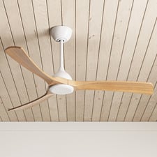 Fanco Sanctuary DC 132cm Ceiling Fan with Remote Control