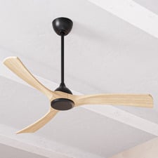 Fanco Sanctuary DC 132cm Ceiling Fan with Remote Control