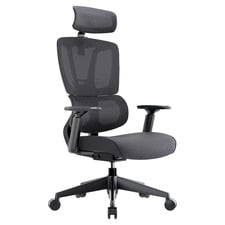 Coen High-Back Ergonomic Office Chair