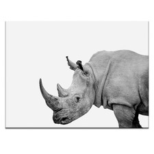 Rhino Printed Wall Art