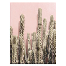 Cactus II Printed Wall Art