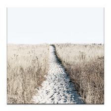 Beach Dunes Printed Wall Art