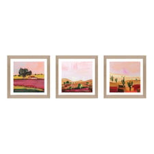3 Piece Desert Dreams Framed Paper Print Wall Art Set