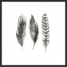 Watercolor Feathers I