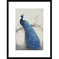 Peacock Blue II Framed Print