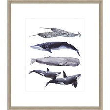 Whale Stack II Framed Print
