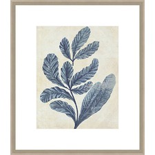 Indigo Blue Seaweed 2a Framed Print