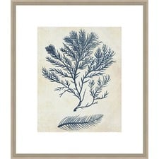 Indigo Blue Seaweed 2c Framed Print