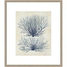 Indigo Blue Seaweed 1a Framed Print