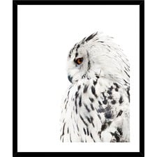 Big Grey Owl Framed Print